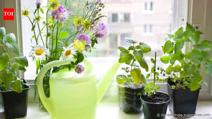 Not just a balcony, 5 spaces that you can easily use for gardening your green friends