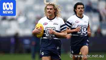 Live: Cats host Dons amid concussion scandal, Swans look to cement top-two spot