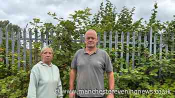 Salford neighbours sick of being attacked by brambles