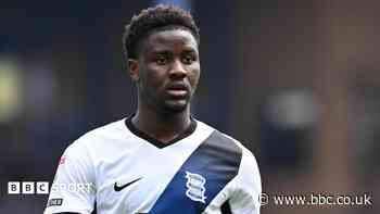 Birmingham unlikely to get Osman back - Davies