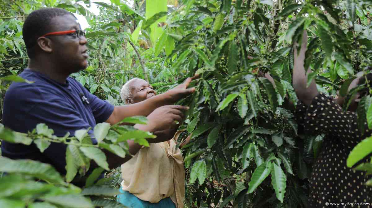 I was orphaned at 12 and picked coffee beans to survive – now I run my own coffee company'