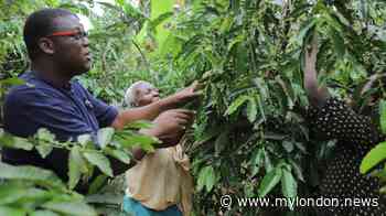 I was orphaned at 12 and picked coffee beans to survive – now I run my own coffee company'