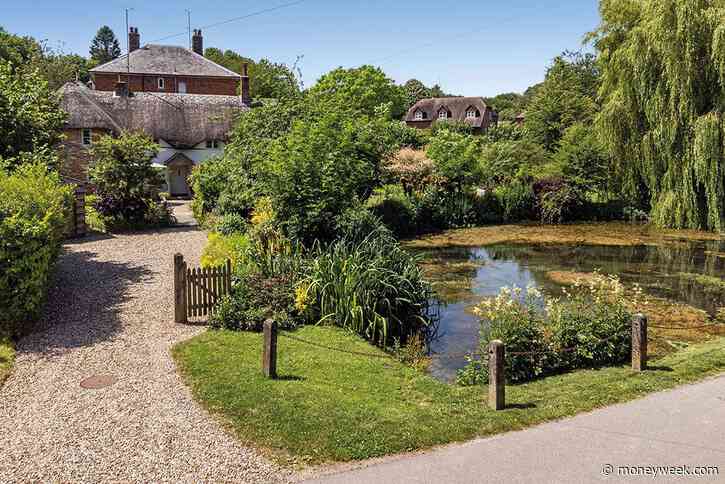 The best houses for sale with wildlife ponds