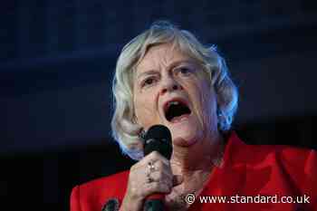 Police probing Widdecombe death reopen inquiry into ‘firebomb’ at Farage’s home