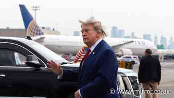 Donald Trump's wild week saw him melt down over his ballroom and chase a toddler around