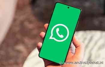 Een poll maken in WhatsApp? Vergeet deze 3 slimme tips niet