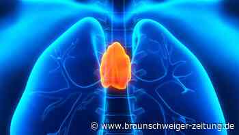 Studie zur Langlebigkeit: Unterschätztes Organ soll vor Krebs schützen