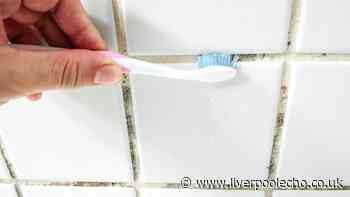 Mould won't develop in humid bathrooms if 1 natural item is placed inside
