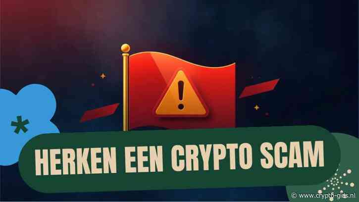 10 Rode Vlaggen Die Verraden Dat Een Crypto-Project Een Scam Is