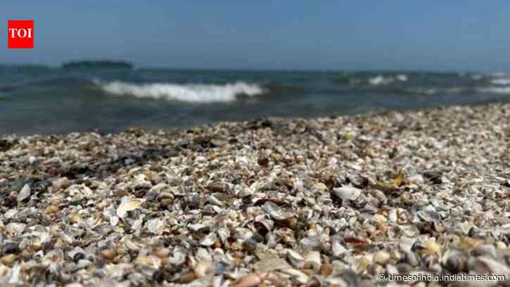 Zebra mussels are collapsing structures and pipes in Spain's Ebro River since 2001 with a population of 40,000 per square meter