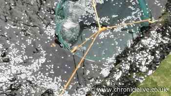 Full impact of nurdle spill 'may take years to understand'