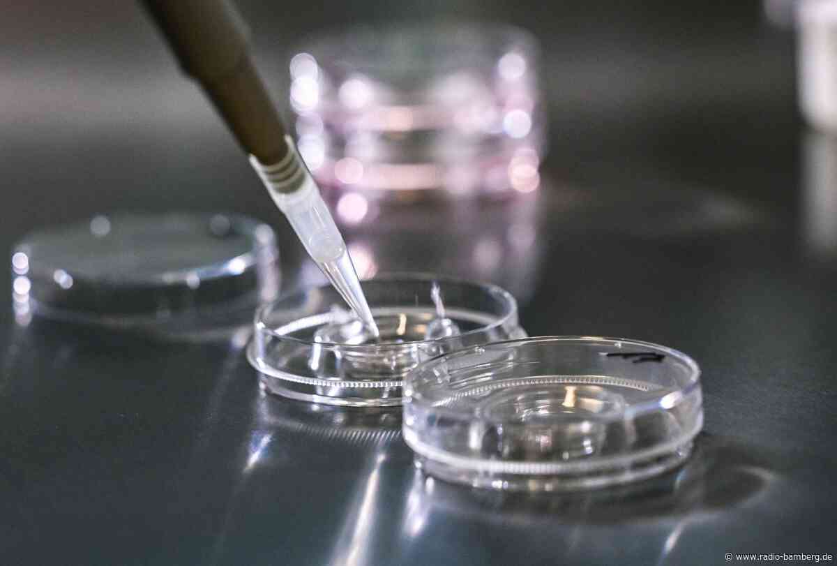 Frau bekommt in Italien falschen Embryo eingesetzt