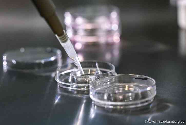Frau bekommt in Italien falschen Embryo eingesetzt
