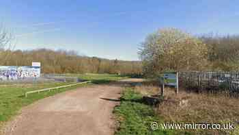 Woman 'sexually assaulted' in broad daylight at Nottinghamshire park as cops hunt man