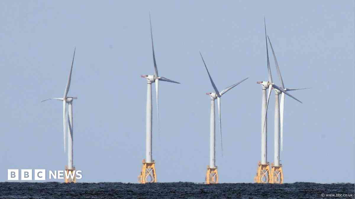 Trump administration to pay German firm $1.2bn to halt US wind projects