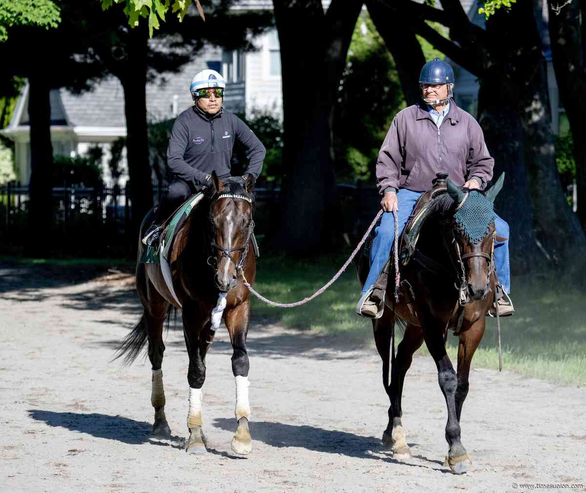 In star-studded Whitney, reigning Horse of the Year Sovereignty looks 'to make a little bit of a comeback'