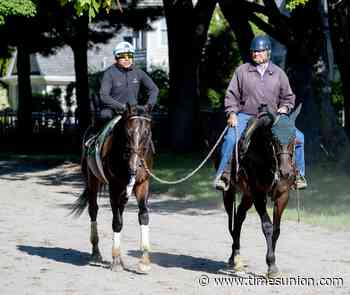In star-studded Whitney, reigning Horse of the Year Sovereignty looks 'to make a little bit of a comeback'