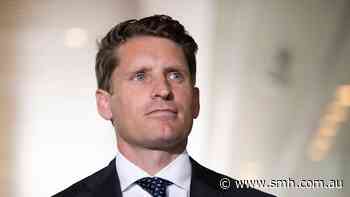 One Nation takes the fight to Andrew Hastie