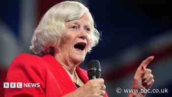 Widdecombe police reopen investigation into incident at Farage's home, BBC understands
