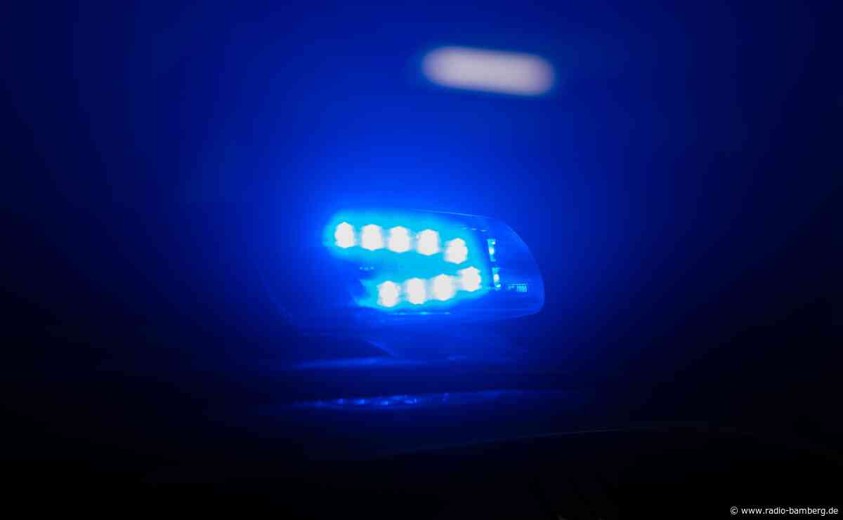 Navi falsch befolgt: Mutter landet mit Kindern im Bach