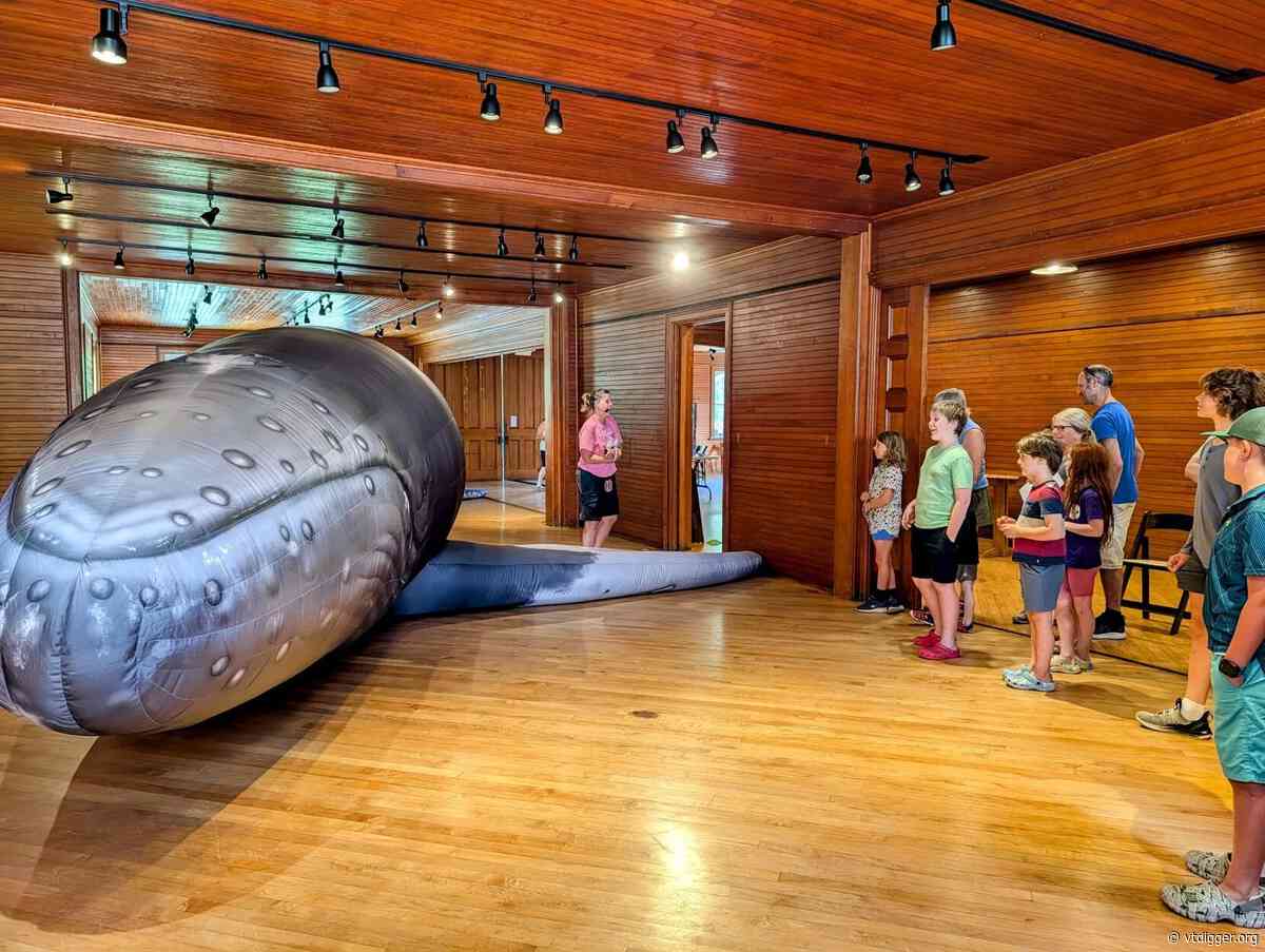 Into the belly of the whale: Summer readers embark on a unique voyage
