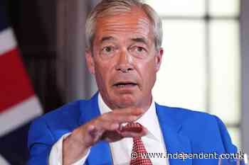 Nigel Farage ‘horrified’ Ann Widdecombe murder detectives probing firebombing on his home