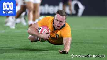 Live: Wallabies survive red card drama to begin new era with win over Japan
