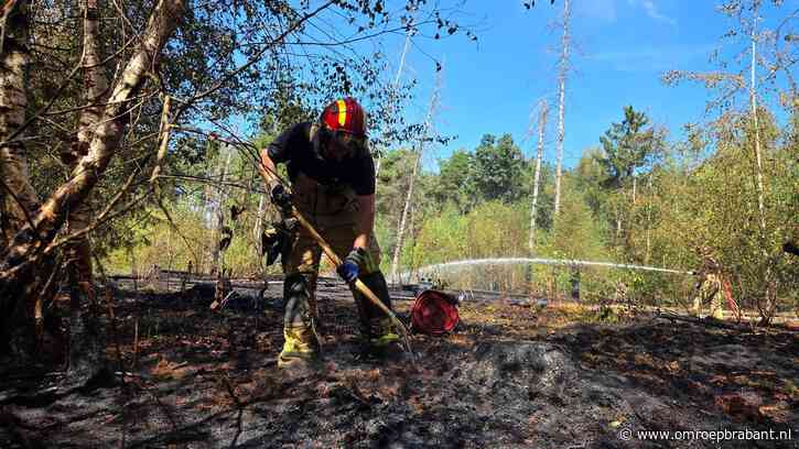 Bosbrand bij Valkenswaard laait weer op, bomen uit voorzorg gekapt