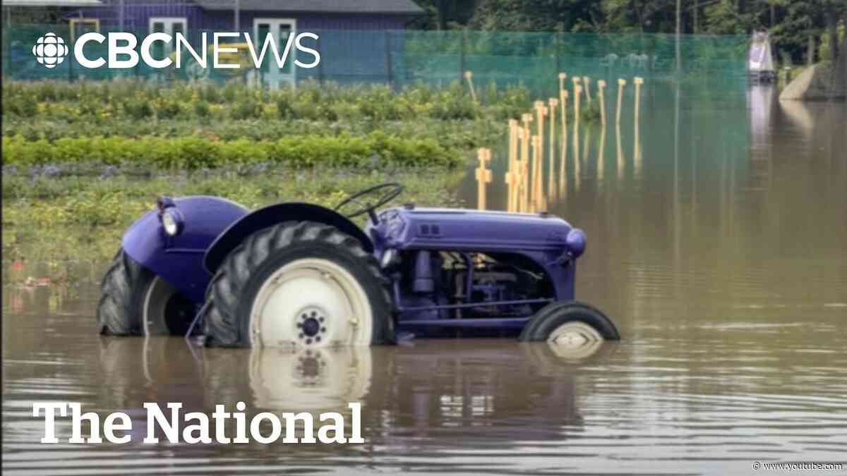Ontario wine country wet and worried after severe flooding