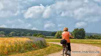 „Für ein paar ist es undenkbar, Flächen herzugeben“: Kein Radweg entlang der Kreisstraße – Landwirte verweigern Verkauf