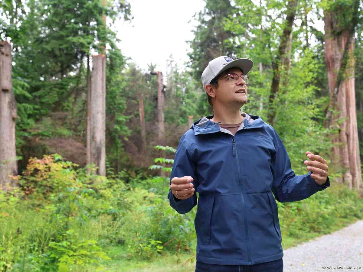 Here's how crews would respond to a wildfire in Stanley Park