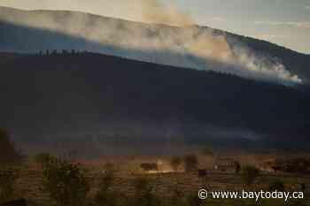 Why some B.C. farmers stay to fight, despite wildfire evacuation orders