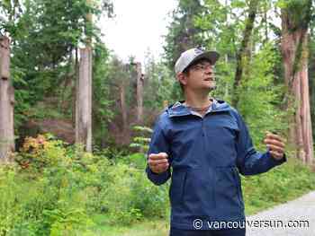 Here's how crews would respond to a wildfire in Stanley Park