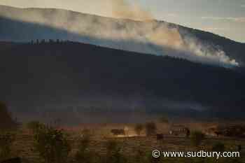 Why some B.C. farmers stay to fight, despite wildfire evacuation orders