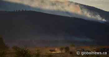Why some B.C. farmers stay to fight, despite wildfire evacuation orders