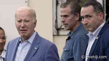 Hunter Biden acknowledges pardon was likely ‘not good’ for father’s legacy