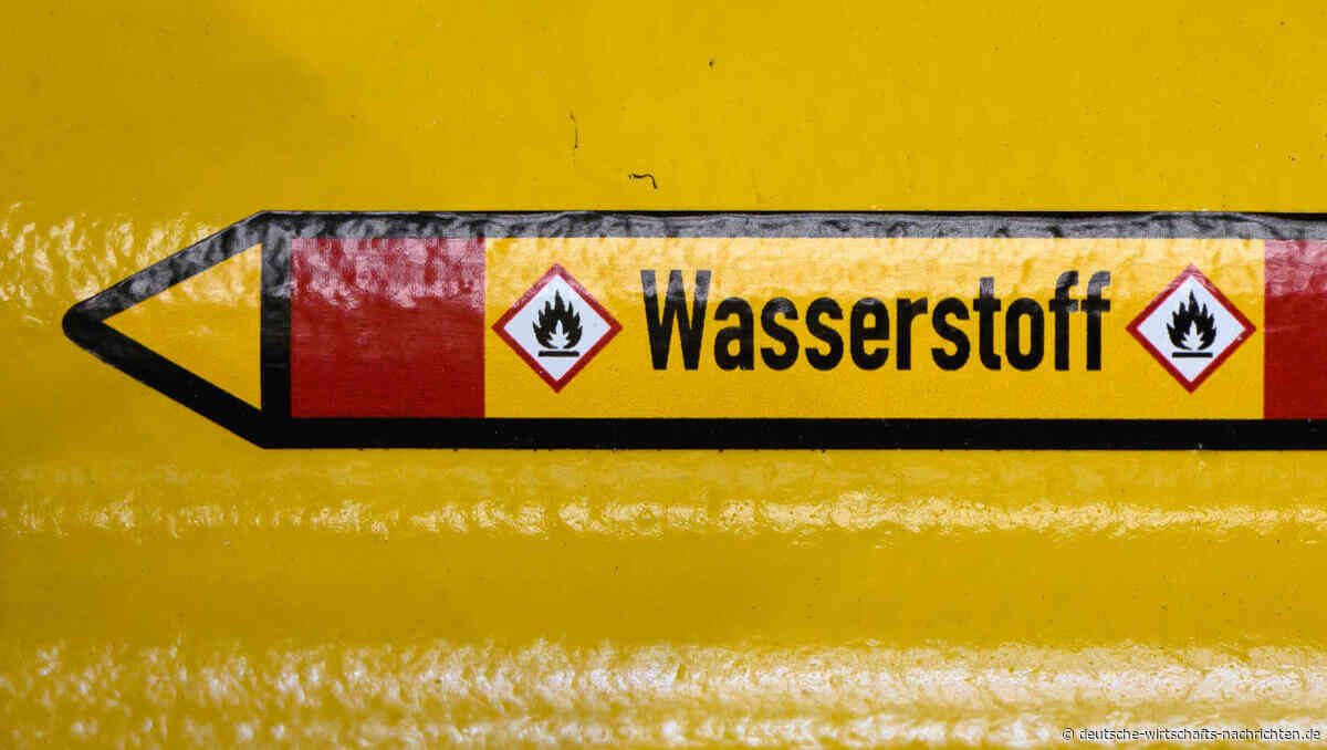 Energieriese warnt vor Wasserstoff-Kollaps