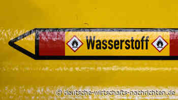 Energieriese warnt vor Wasserstoff-Kollaps