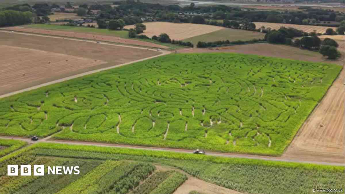 South weekly quiz: Who is the face in the maze?