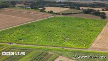 South weekly quiz: Who is the face in the maze?