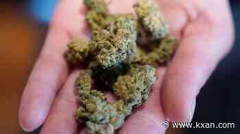 More frequent marijuana users being treated with nausea and vomiting condition: Report