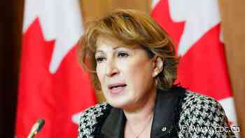 Feds should devise way to reflect on COVID-19 response, says Canada's chief science adviser
