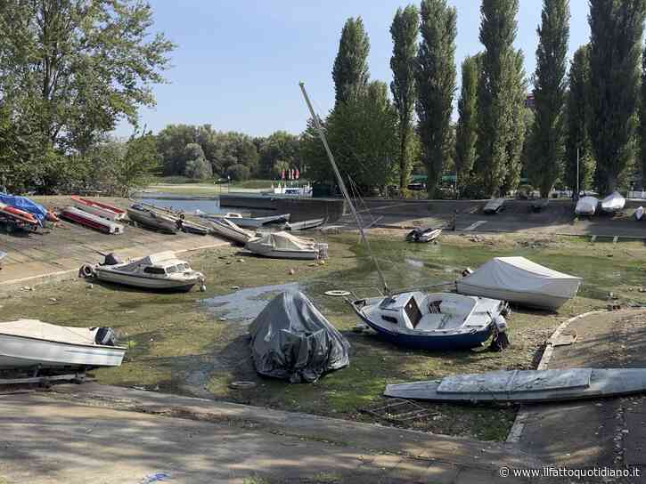 Siccità, Lago Maggiore ai minimi storici tra barche in secca e canneti senz’acqua. Il presidente del distretto dei Laghi: “Serve investire sul territorio, non sugli armamenti”