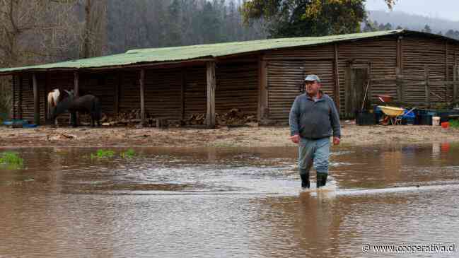 Biobío: Gobierno aplicó más de 1.300 fichas FIBE tras temporales y descartó la emergencia agrícola regional