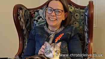 Bishop of Newcastle's cat among candidates for UK's next 'Purr Minister'