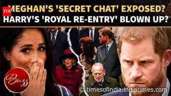 Meghan's 'Royal Blunder' Leaked? Martha's Bombshell Shakes Harry's Royal Reunion Story