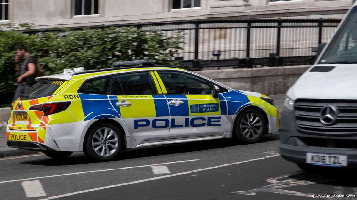 'Gunshots' heard after machete-wielding group seen in Croydon
