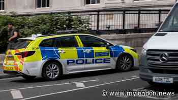 'Gunshots' heard after machete-wielding group seen in Croydon