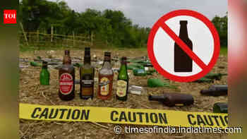 Bihar should withdraw alcohol ban as it failed to curb crimes against women: Report