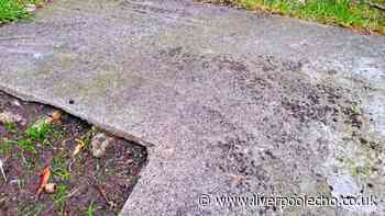 I can stop moss growing on patios in 5 minutes with a common kitchen item most people own